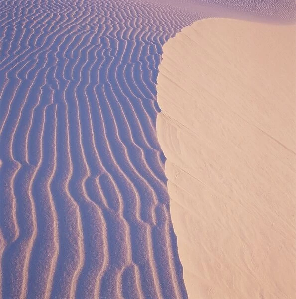 Dunes at dawn