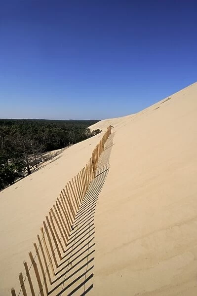 Dunes du Pyla, Bay of Arcachon, Cote d Argent, Aquitaine, France, Europe