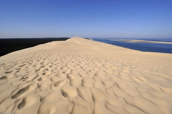 Dunes du Pyla, Bay of Arcachon, Cote d Argent, Aquitaine, France, Europe