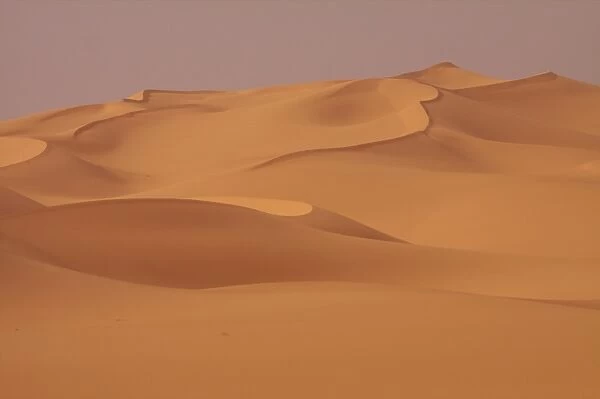 In the dunes of the erg of Murzuk in the Fezzan desert, Libya, North Africa, Africa