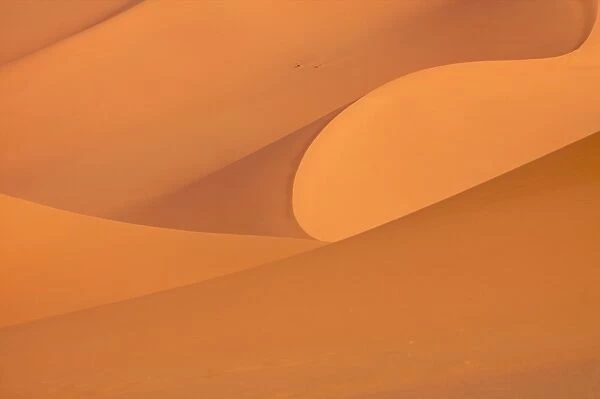 The dunes of the erg of Murzuk in the Fezzan desert, Libya, North Africa, Africa