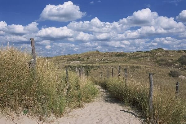 Dunes, Le Touquet, Nord Pas de Calais, France, Europe