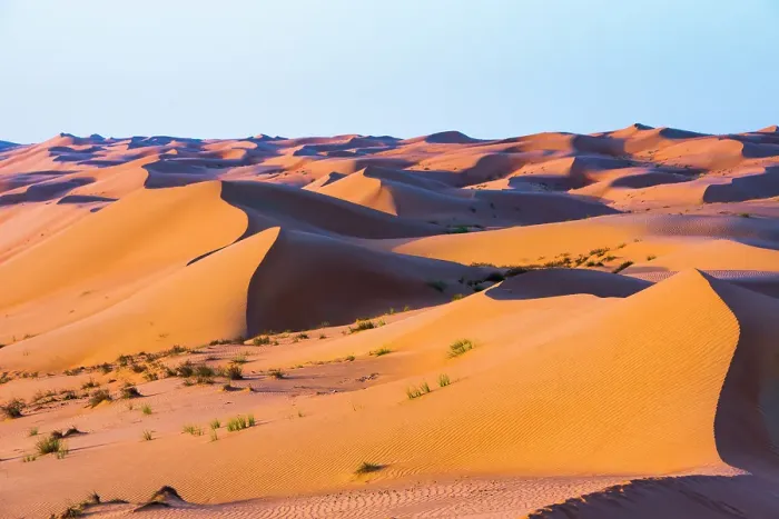 Framed Print : Dunes in the Sharqiya Sands, formerly Wahiba Sands, desert region, Sultanate of Oman, Arabian Peninsula Framed Print : Dunes in the Sharqiya Sands, formerly Wahiba Sands, desert region, Sultanate of Oman, Arabian Peninsula