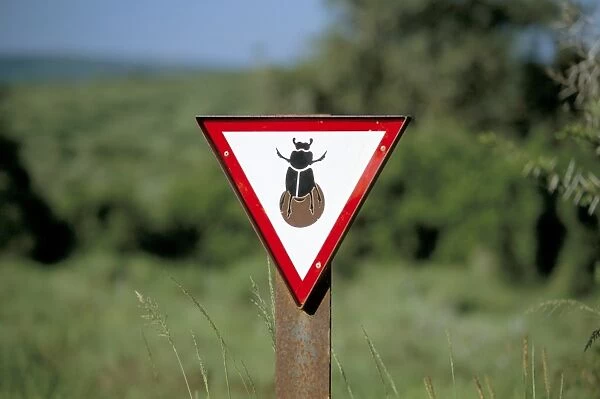 Dung beetle road sign to discourage dung beetle roadkills