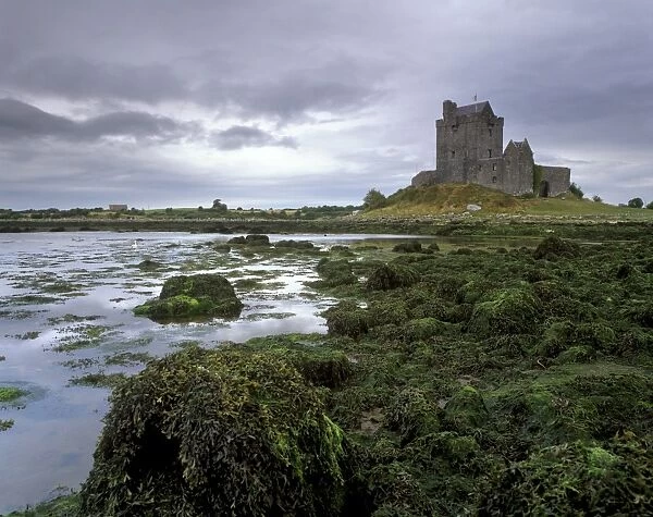 Dunguaire Castle dating from the 16th century and coast