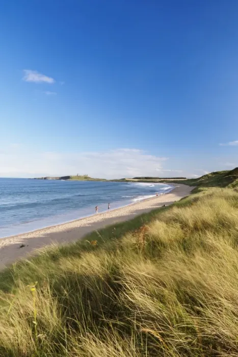 Framed Print : Dunstanburgh Castle and Embleton Beach, near Dunstanburgh, Northumberland, England, United Kingdom, Europe