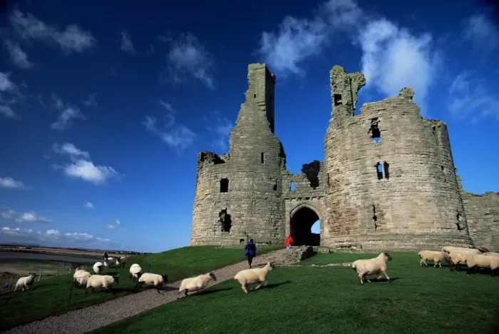 Framed Print : Dunstanburgh Castle, Northumbria, England, United Kingdom, Europe