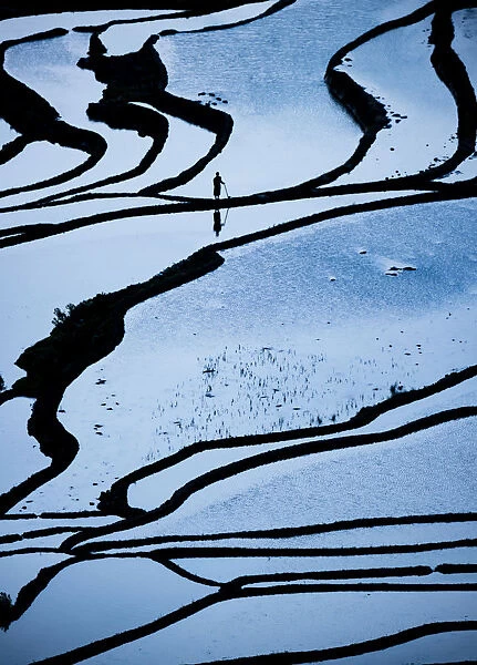 Duoyishu Rice Terraces at dawn, UNESCO World Heritage Site, Yuanyang, Yunnan Province