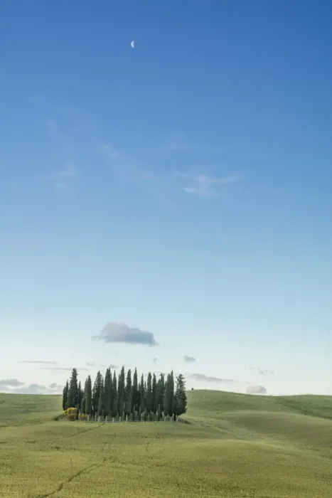 Framed Print : Dusk frames the cypresses on the gentle green hills of Val d Orcia, UNESCO World Heritage Site Framed Print : Dusk frames the cypresses on the gentle green hills of Val d Orcia, UNESCO World Heritage Site