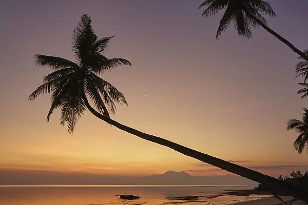 A dusk silhouette of coconut palms at Paliton beach, Siquijor, Philippines, Southeast Asia