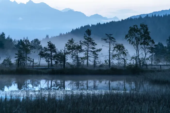 Framed Print : Dusk over trees mirrored in the swamp of Pian di Gembro Nature Reserve, Aprica, Sondrio Framed Print : Dusk over trees mirrored in the swamp of Pian di Gembro Nature Reserve, Aprica, Sondrio