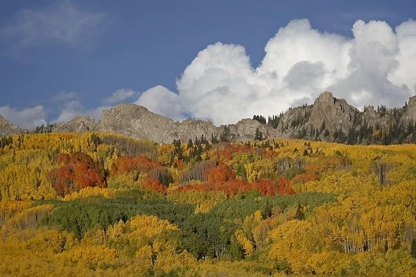 The Dyke with the fall colours, Grand Mesa-Uncompahgre-Gunnison National Forest