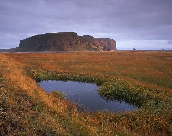 Dyrholaey inselberg and cliffs, southernmost point of Iceland, from the low-lying coast near Vik