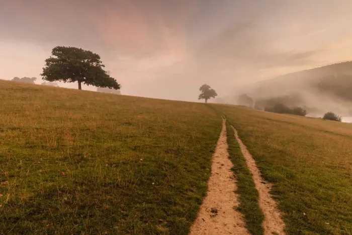 Framed Print : Early Autumn (Fall) mist, dawn, Chatsworth Park, Peak District National Park, Chesterfield Framed Print : Early Autumn (Fall) mist, dawn, Chatsworth Park, Peak District National Park, Chesterfield