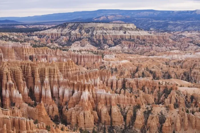 Framed Print : Early morning, Bryce Canyon National Park, Utah, United States of America, North America Framed Print : Early morning, Bryce Canyon National Park, Utah, United States of America, North America