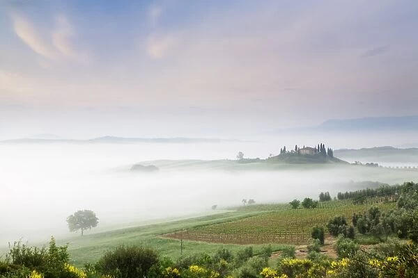 Early morning fog at the farmhouse Belvedere, Orcia Valley (Val d Orcia), UNESCO World Heritage Site, Siena region, Tuscany, Italy, Europe