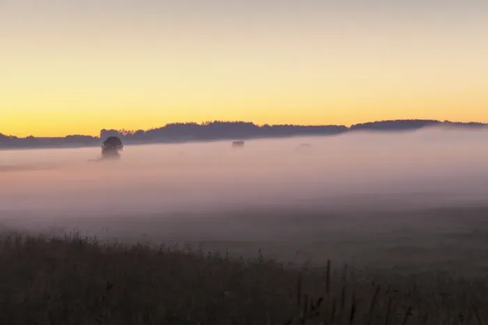 Framed Print : Early morning fog, landscape near Bad Buchau, Upper Swabia, Baden-Wurttemberg, Germany Framed Print : Early morning fog, landscape near Bad Buchau, Upper Swabia, Baden-Wurttemberg, Germany