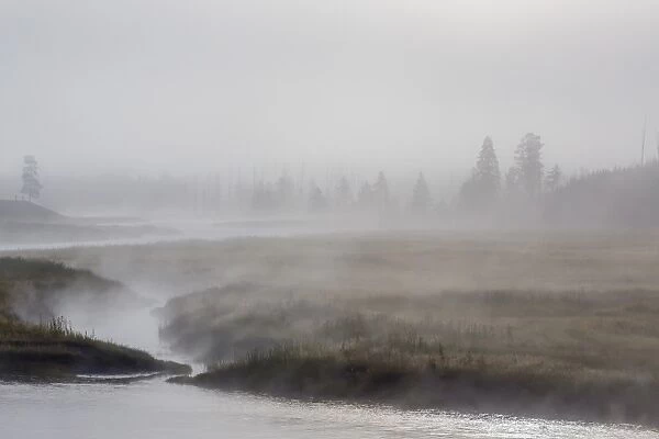 Early morning fog along the Madison River in Yellowstone National Park, UNESCO World Heritage Site, Wyoming, United States of America, North America