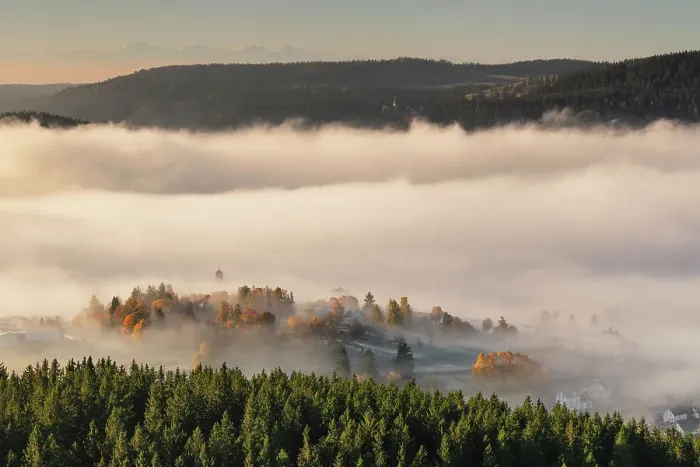 Framed Print : Early morning fog over Schluchsee Lake, Southern Black Forest, Baden-Wurttemberg, Germany Framed Print : Early morning fog over Schluchsee Lake, Southern Black Forest, Baden-Wurttemberg, Germany