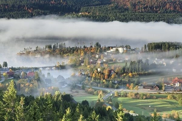Early morning fog across the Schluchsee Lake in autumn, Black Forest, Baden Wurttemberg, Germany, Europe