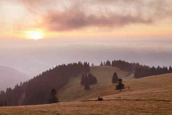Early morning fog and sunrise, Belchen Mountain, Black Forest, Baden Wurttemberg, Germany, Europe