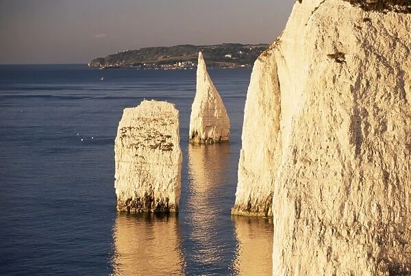 Early morning light on the Pinnacles, Handfast Point, Studland, Dorset