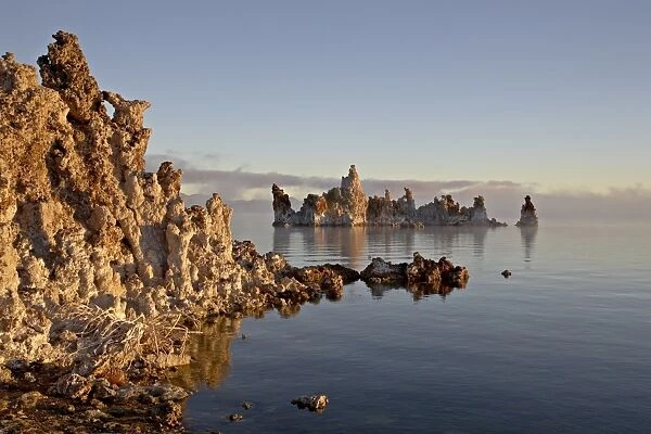 Early morning light on the tufa formations, Mono Lake, California, United States of America