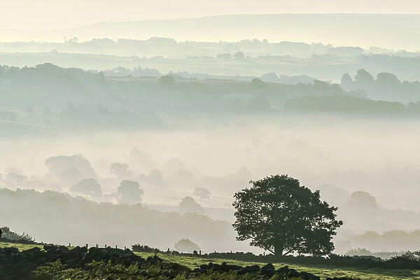 Early morning mist in the Esk Valley around Lealholm in the North Yorkshire Moors