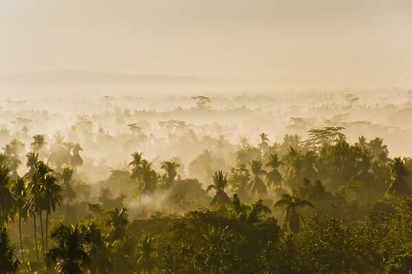 Early morning mist on the Kedu Plain at sunrise from the Borobudur Temple, Java, Indonesia, Southeast Asia, Asia
