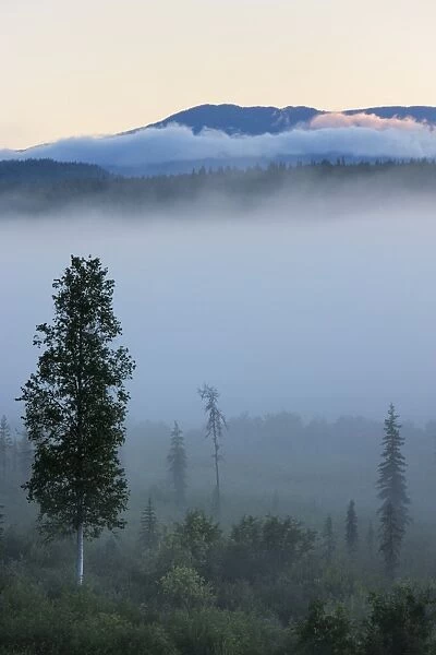 Early morning mist in Wells Grey Provincial Park, British Columbia, Canada, North America