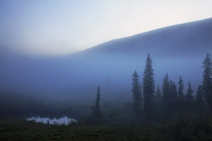Framed Print : Early morning mist in Wells Grey Provincial Park, British Columbia, Canada, North America Framed Print : Early morning mist in Wells Grey Provincial Park, British Columbia, Canada, North America