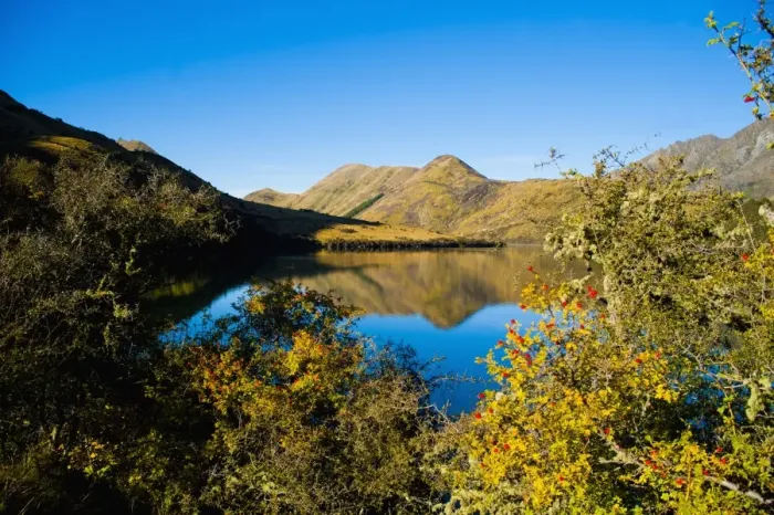 Framed Print : Early morning reflections at Lake Moke, Queenstown, Otago, South Island, New Zealand, Pacific Framed Print : Early morning reflections at Lake Moke, Queenstown, Otago, South Island, New Zealand, Pacific