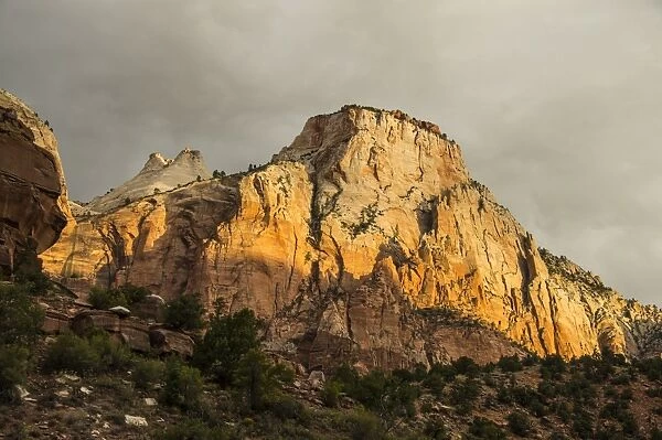 Early morning sunlight shining on the towering cliffs of the Zion National Park, Utah, United States of America, North America