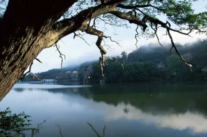 Framed Print : Early morning view over Kandy Lake Framed Print : Early morning view over Kandy Lake