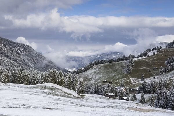 Early snow near to the Alpe di Siusi in the Dolomites, Trentinto-Alto Adige  /  South Tyrol