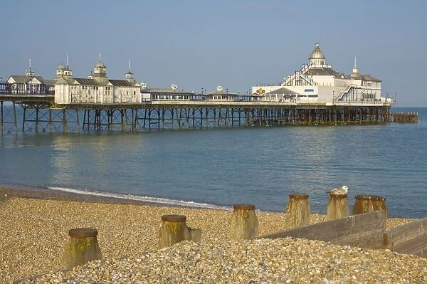 Eastbourne Pier, beach and groynes, Eastbourne, East Sussex, England, United Kingdom
