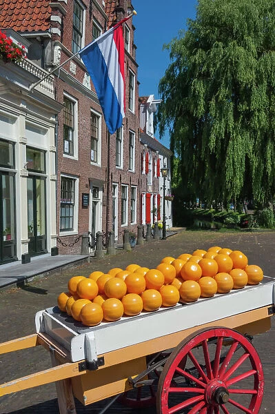 Edam cheese balls, Edam, Holland, Europe