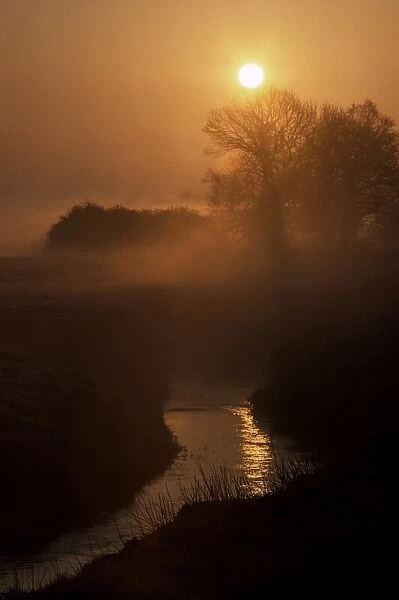 The Eden Valley at sunrise, near Edenbridge, Kent, England, United Kingdom, Europe