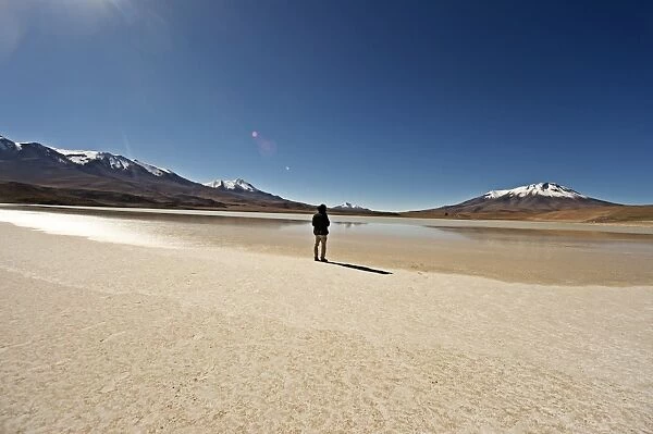At the edge of a salt lake high in the Bolivian Andes, Bolivia, South America