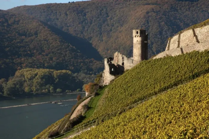 Framed Print : Ehrenfels Castle near Rudesheim, Rhine Valley, Hesse, Germany, Europe Framed Print : Ehrenfels Castle near Rudesheim, Rhine Valley, Hesse, Germany, Europe
