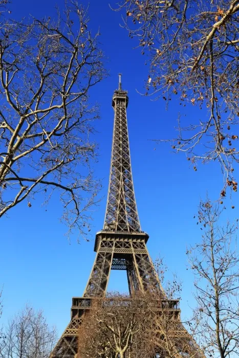 Framed Print : Eiffel Tower, Paris, Ile de France, France, Europe Framed Print : Eiffel Tower, Paris, Ile de France, France, Europe