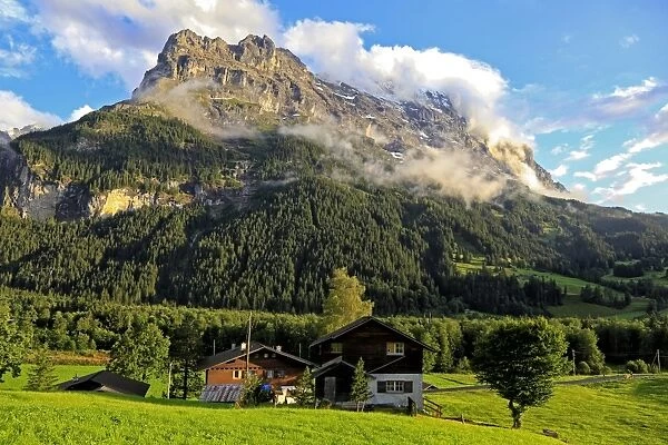 Eiger, Grindelwald, Bernese Oberland, Canton of Bern, Switzerland, Europe