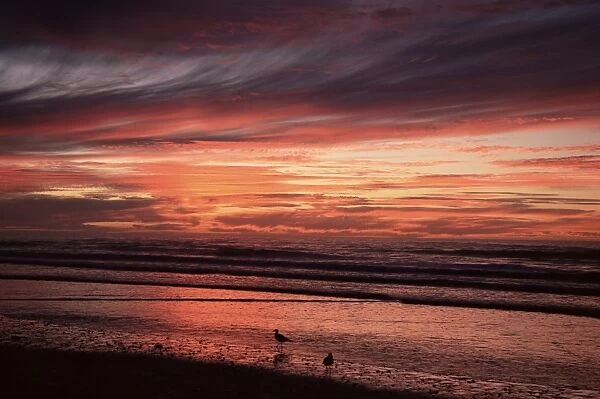 Eighty Mile Beach, Western Australia, Australia, Pacific