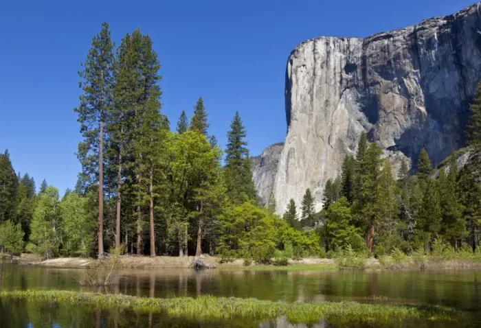 Framed Print : El Capitan, a 3000 feet granite monolith, with the Merced River flowing through the flooded meadows of Yosemite Valley, Yosemite National Park, UNESCO World Heritage Site, Sierra Nevada, California, United States of America Framed Print : El Capitan, a 3000 feet granite monolith, with the Merced River flowing through the flooded meadows of Yosemite Valley, Yosemite National Park, UNESCO World Heritage Site, Sierra Nevada, California, United States of America
