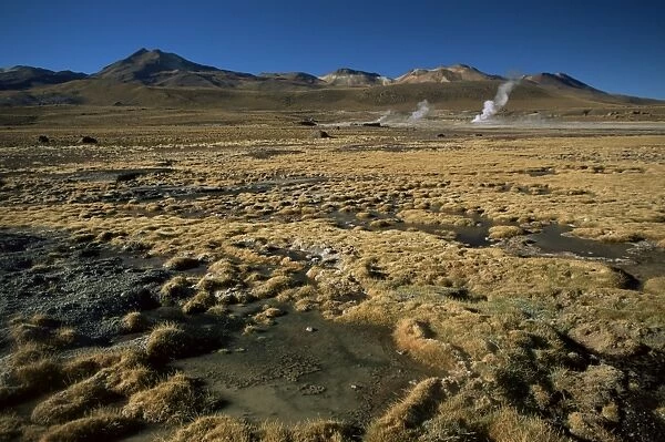 El Tatio Geyser, Atacama, Chile, South America