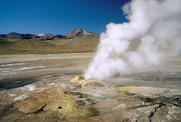 El Tatio geyser, Atacama, Chile, South America