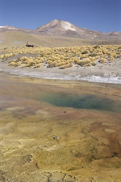El Tatio geyser basin on altiplano, boiling pool with algal colour zoning