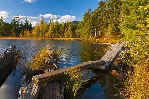 Elbow Pond, Baxter State Park, Maine, New England, United States of America, North America