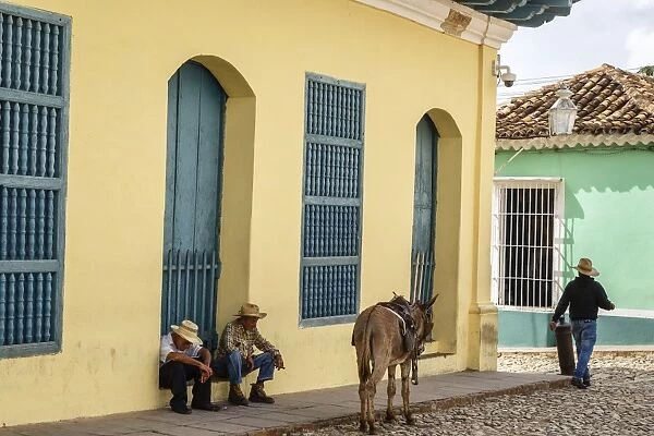 Elderly men sitting with donkey at the street, Trinidad, Sancti Spiritus Province