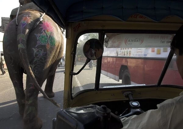 Elephant and bus on the road seen from a motor rickshaw